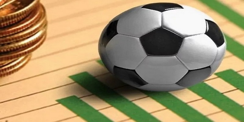 Dành thời gian tìm hiểu thông tin toàn diện về đội bóng